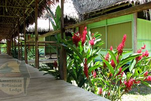 Habitación y suite