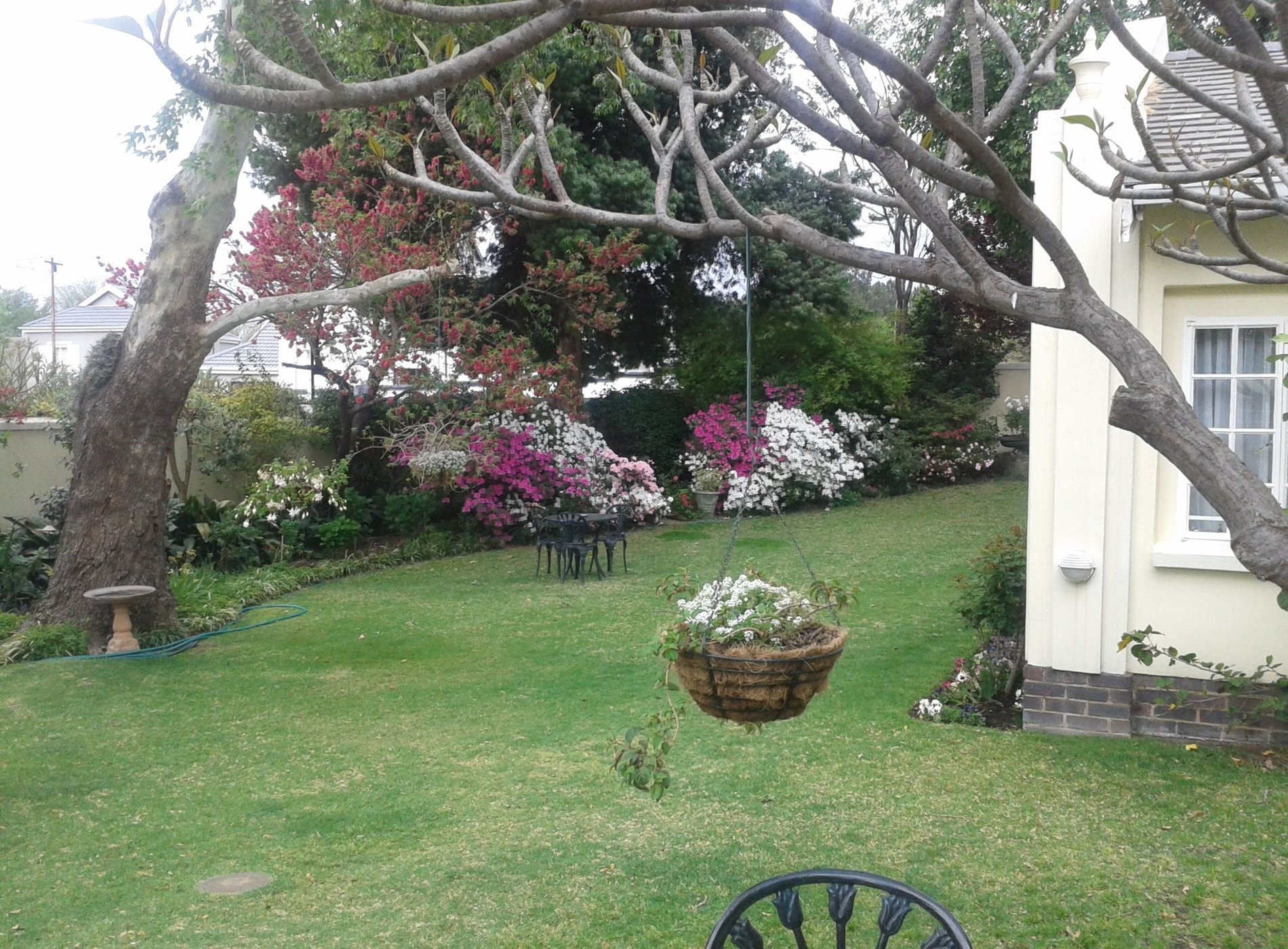 Cape Elegance in Bryanston by null