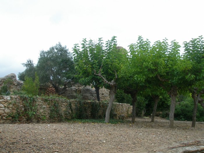 Imagen 4 de Villa Romana Dels Munts
