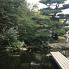 Things To Do in Matsushima Shrine, Restaurants in Matsushima Shrine