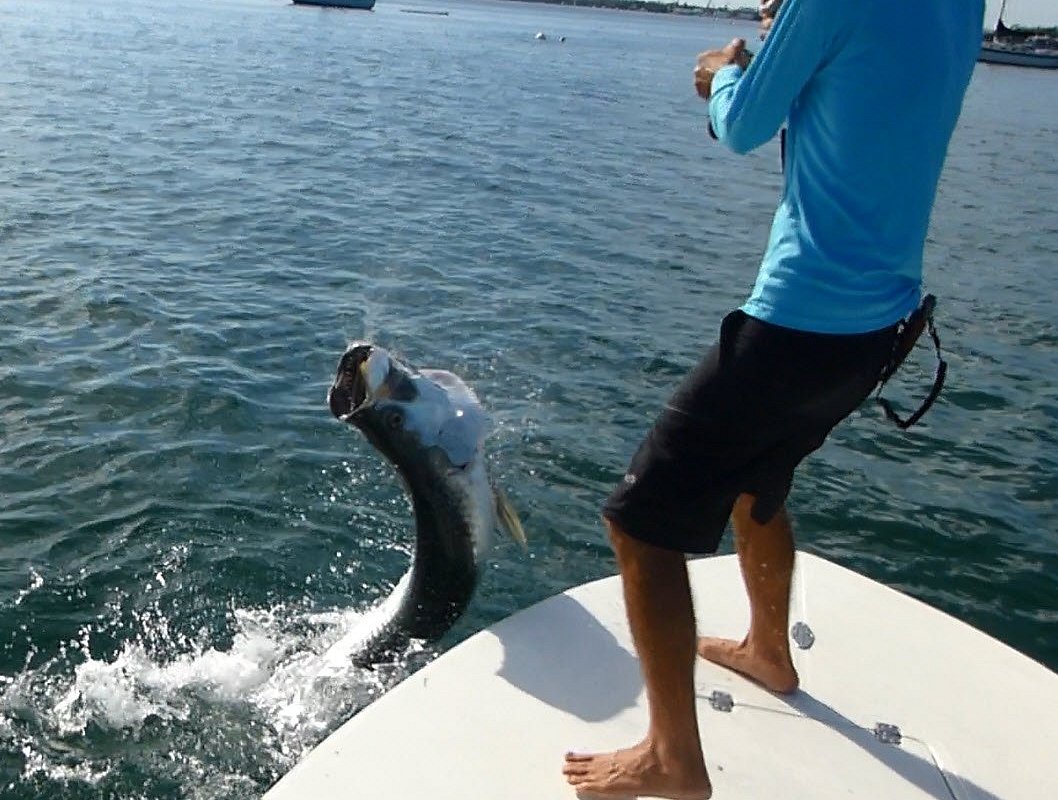 Endless Summer Fishing Charters (Key West) All You Need to Know