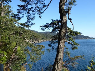 Deer Harbor, WA 2023: Best Places to Visit - Tripadvisor