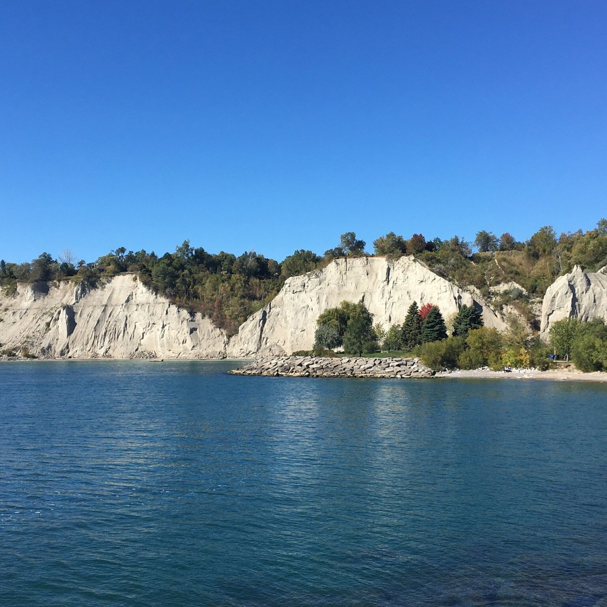 are dogs allowed at scarborough bluffs