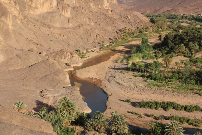 vue sur l'oasis de Fint