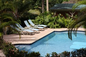 Pool & Beach