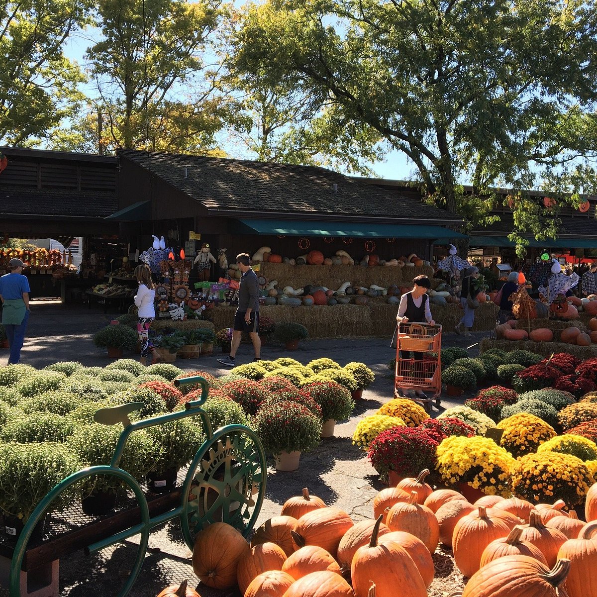 Kirkwood Farmers’ Market All You Need to Know BEFORE You Go