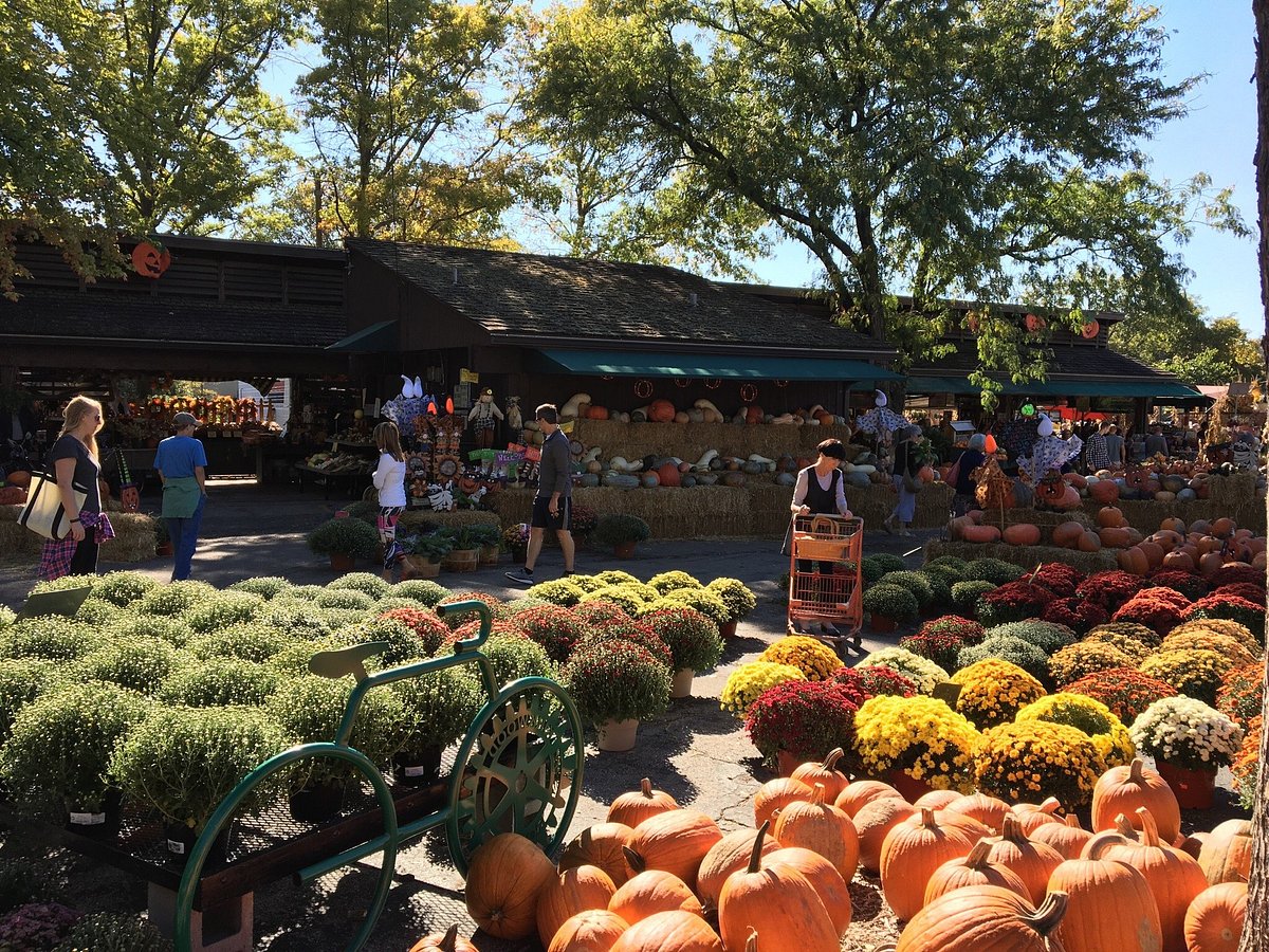 KIRKWOOD FARMERS’ MARKET All You Need to Know BEFORE You Go