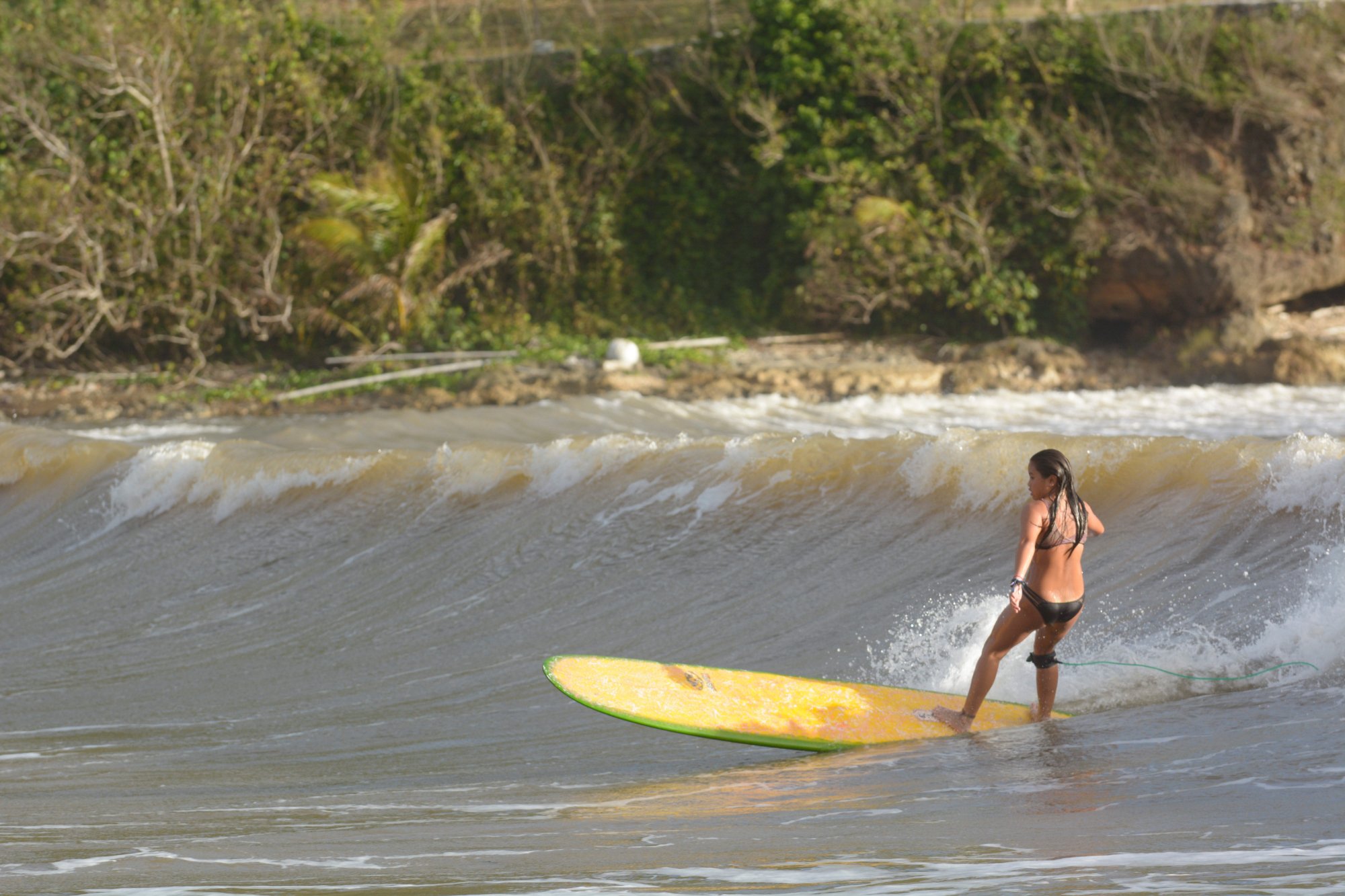 Lotus Surf Shop - All You Need to Know BEFORE You Go (2024)