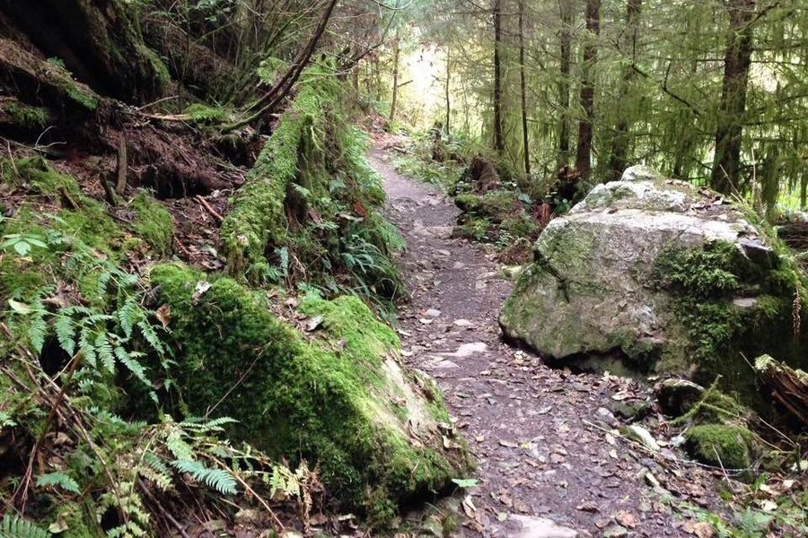 Robe Canyon image