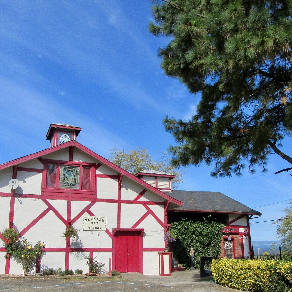 NEHALEM BAY WINERY (2025) All You Need to Know BEFORE You Go (with Photos)