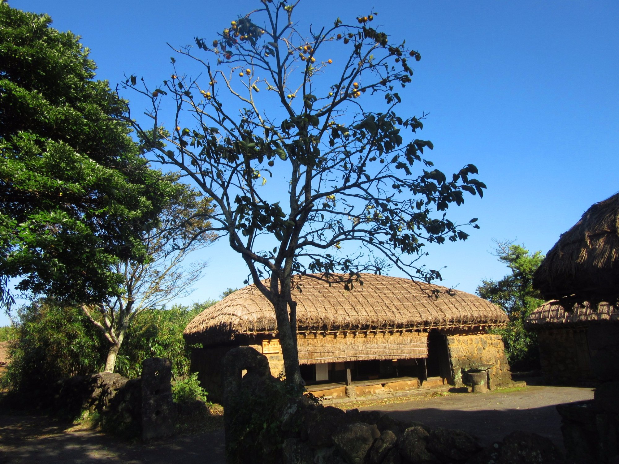 城邑民俗村(济州) - 旅游景点点评- Tripadvisor