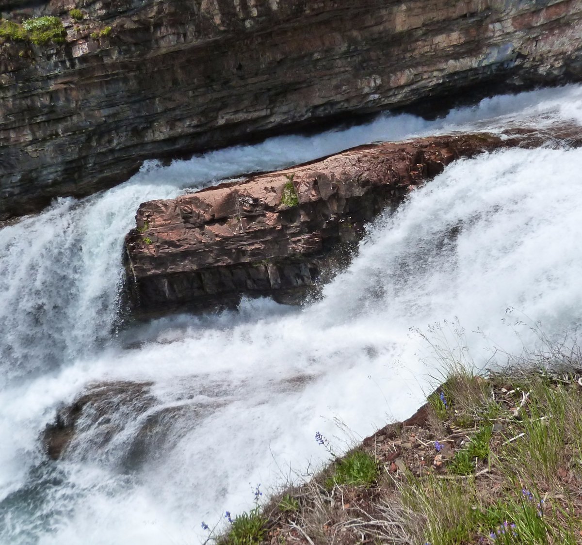 Cameron Falls (Waterton Lakes National Park) - All You Need to Know 