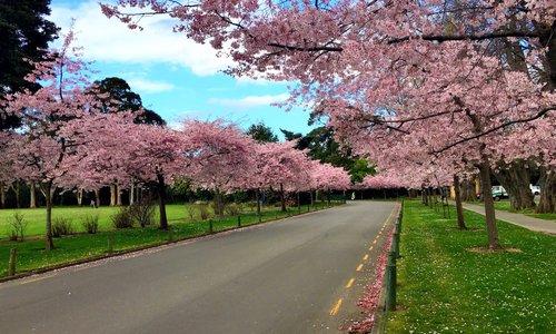 Great gardens!