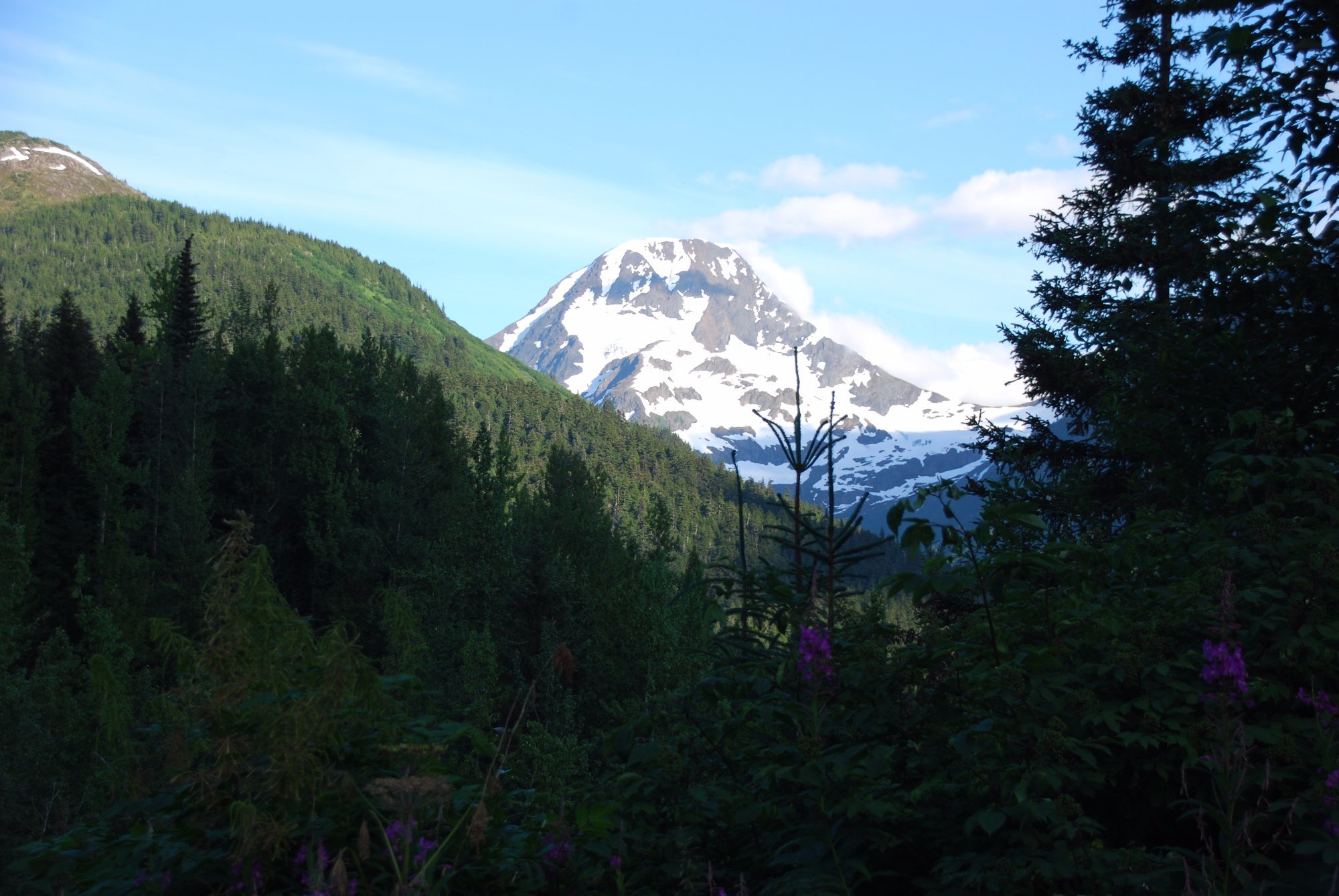 Bird Creek Campground by null