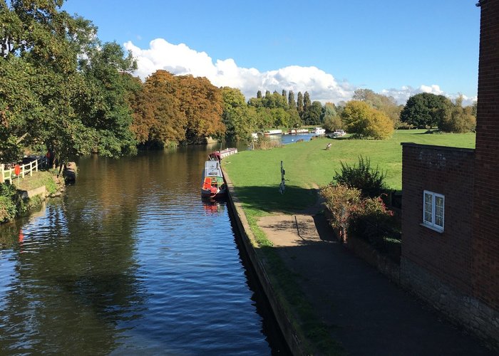 Abbey Meadows
