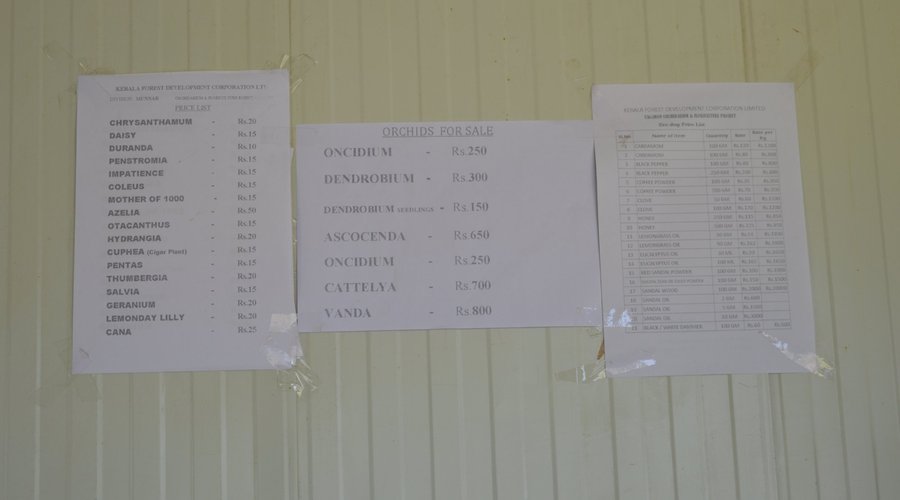 Items available at the Eco shop