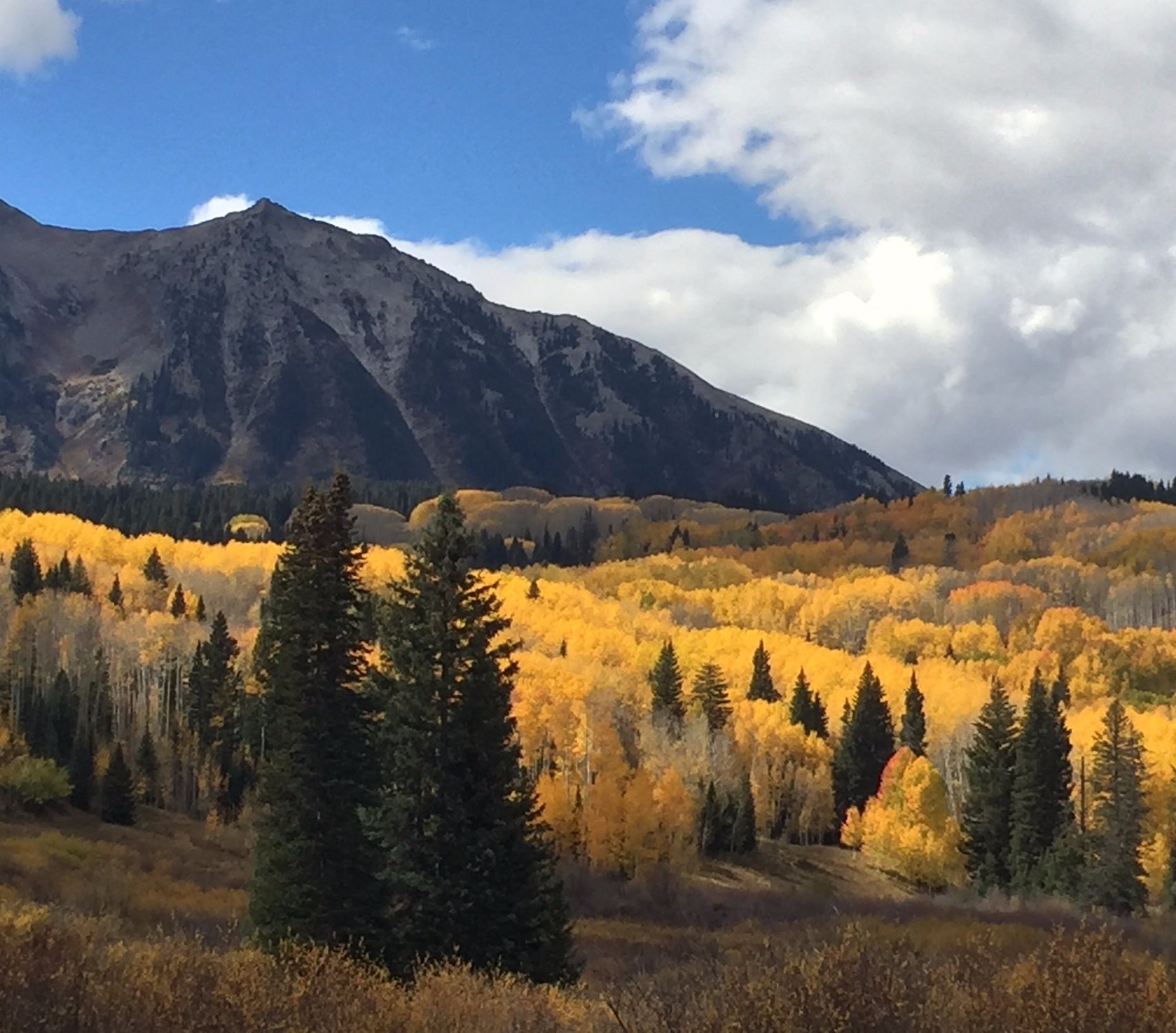 THE 15 BEST Things To Do In Crested Butte 2024   Aspens 