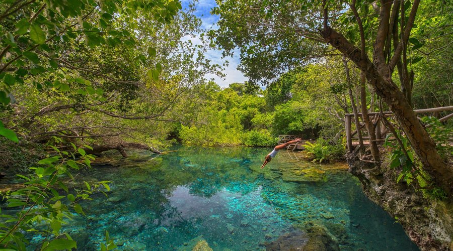 Indigenous Eyes Ecological Park & Reserve, Puntacana Resort & Club.
