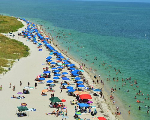 THE 15 BEST Things to Do in Key Biscayne (Updated 2024)