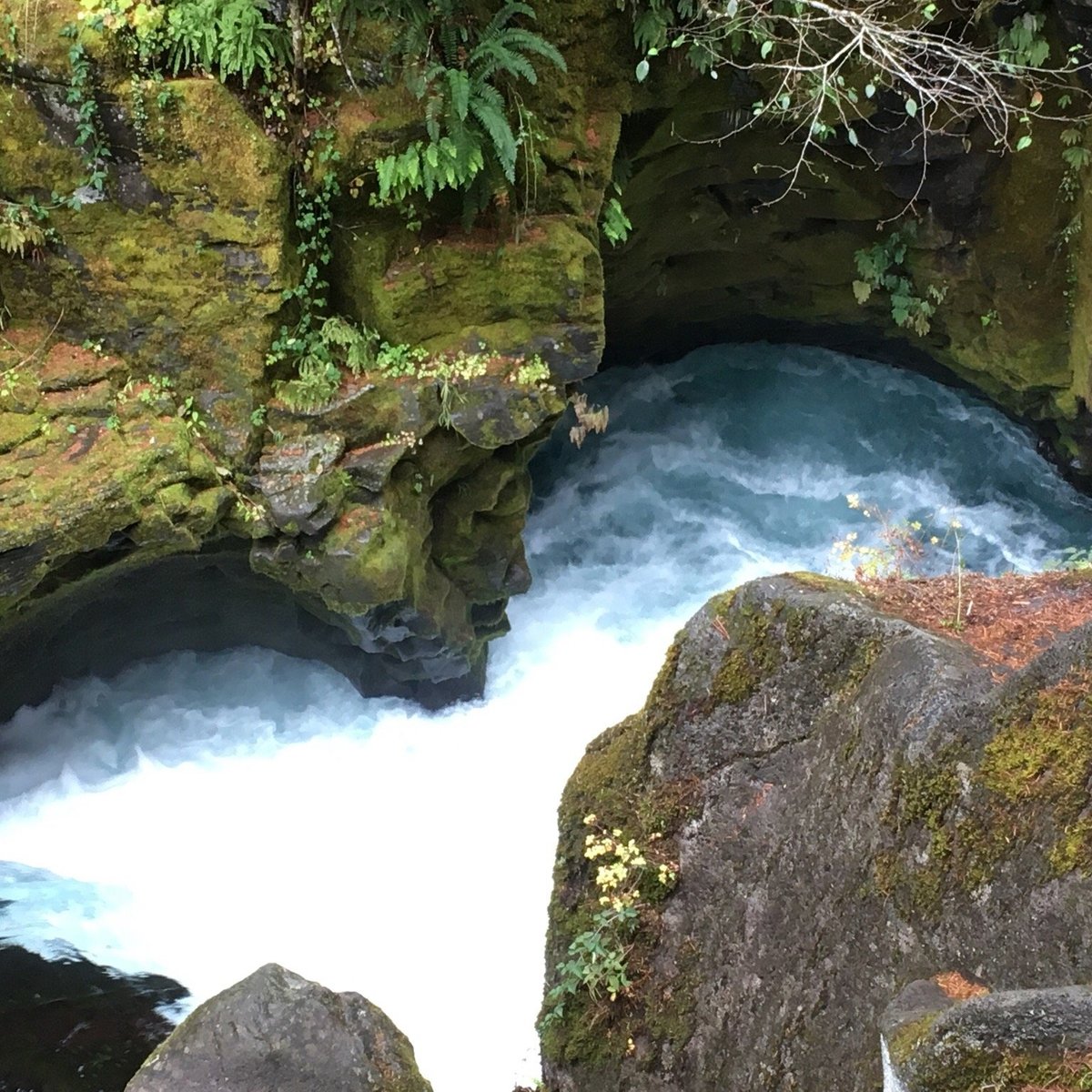 Toketee Falls