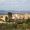 Things To Do in Ermita de Sant Vicent Ferrer, Restaurants in Ermita de Sant Vicent Ferrer