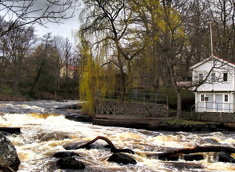 obbola kvinna söker man