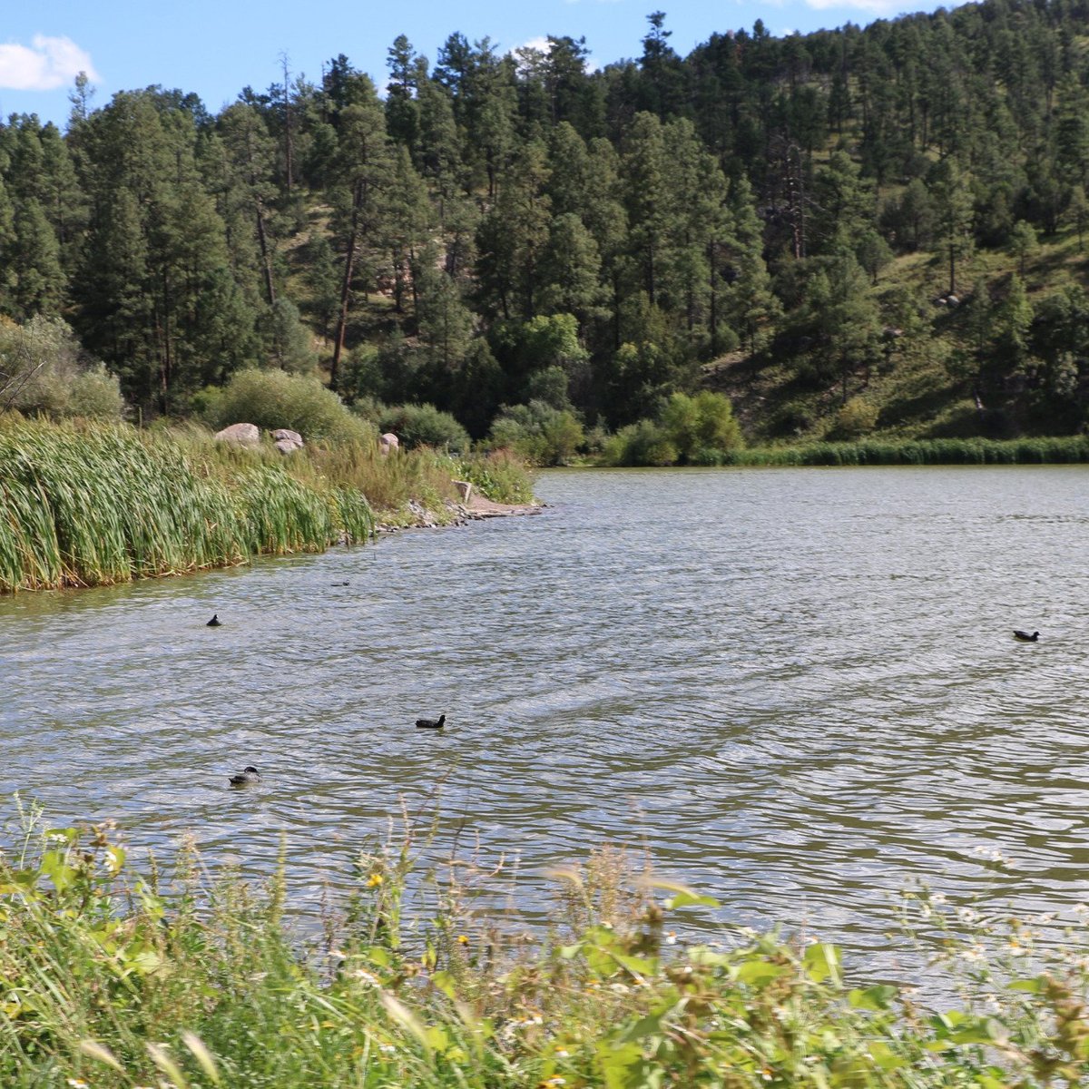 Lake Roberts All You Need to Know BEFORE You Go (2025)