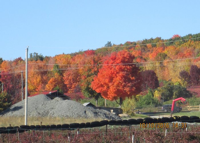 les belles couleurs d'autumne
