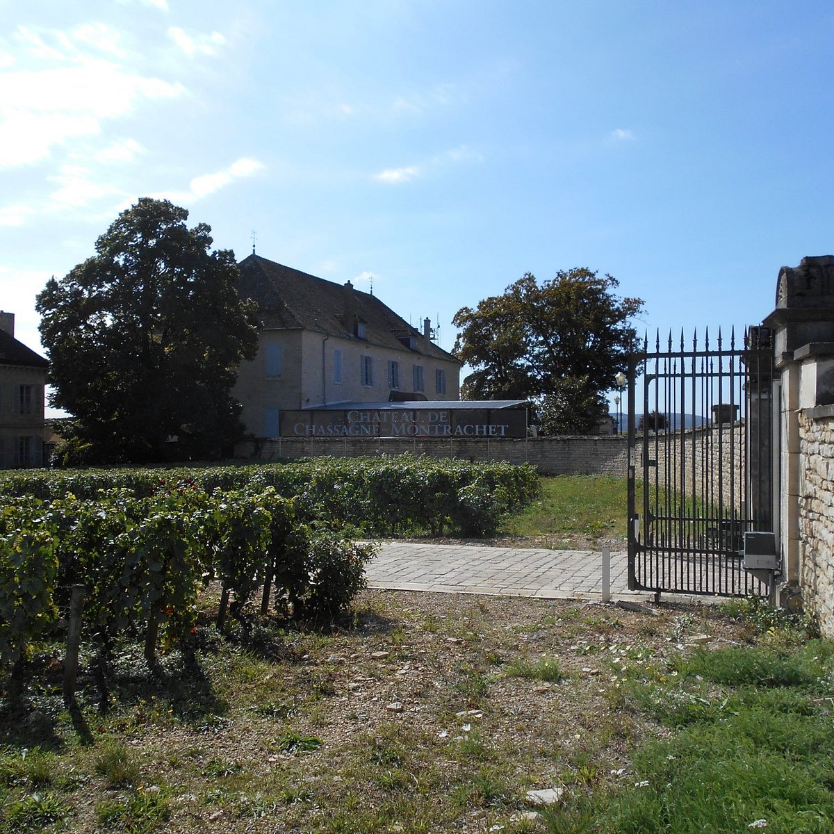 Domaines Maison Famille Picard Chassagne Montrachet 22 All You Need To Know Before You Go With Photos Chassagne Montrachet France Tripadvisor