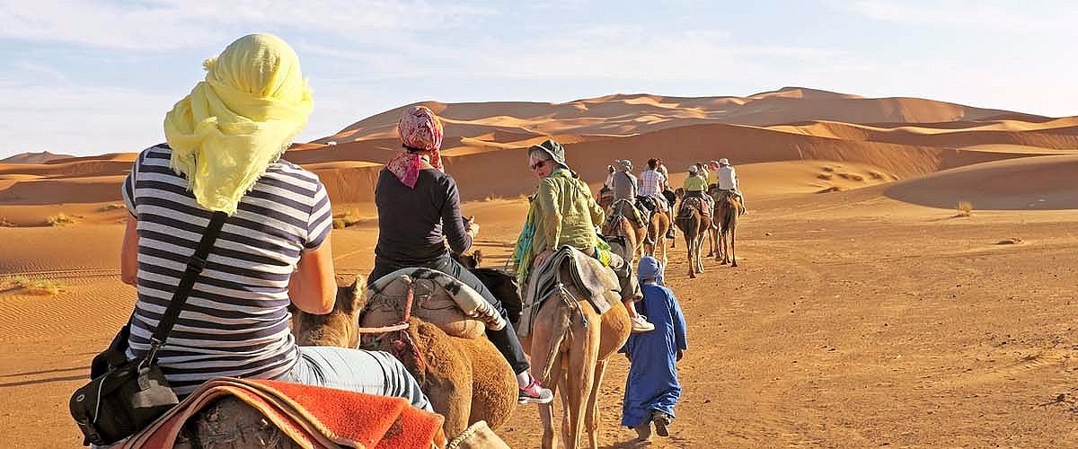 sahara relax tours