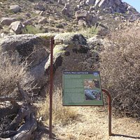 Marcus Landslide Trail (Scottsdale) - All You Need to Know BEFORE You Go