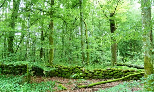 Del av naturreservatet