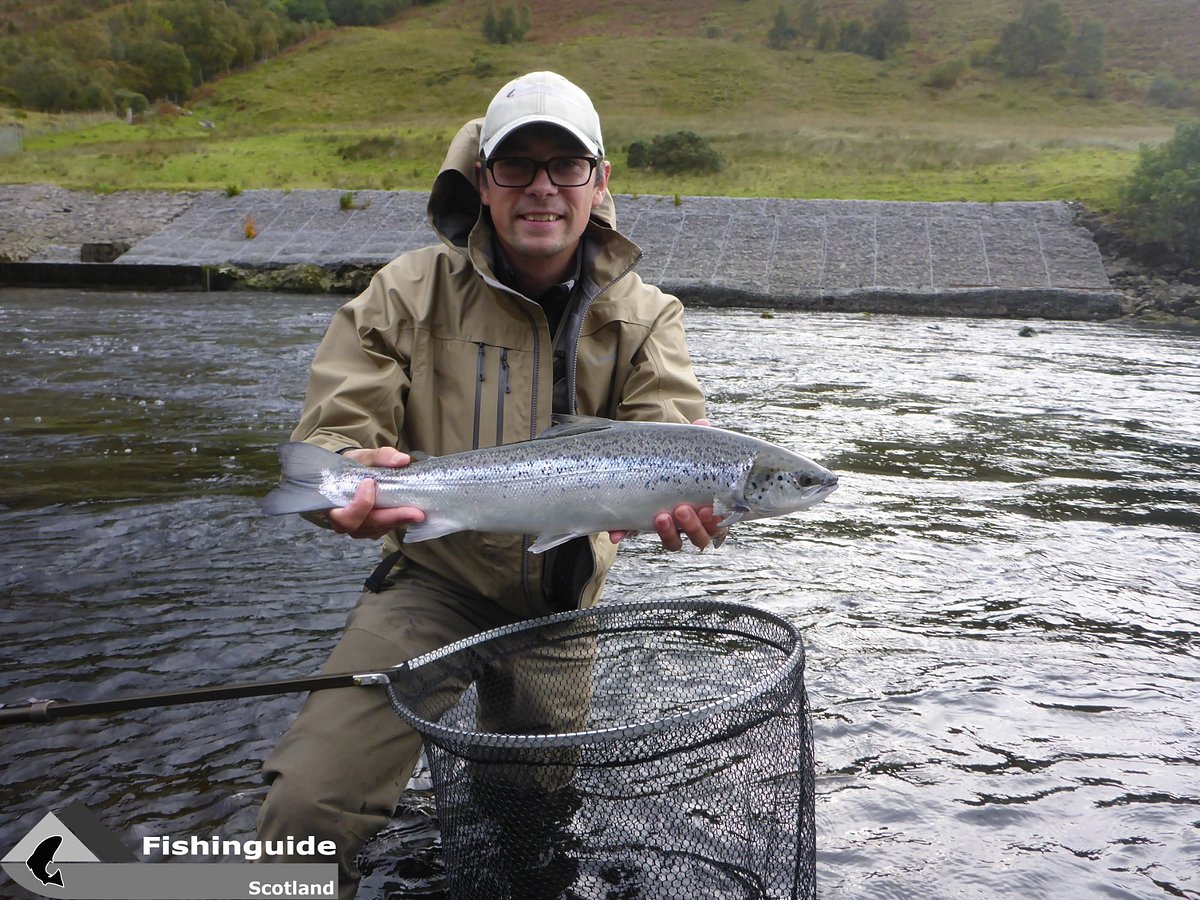 Saltwater fly fishing for pollack in Scotland