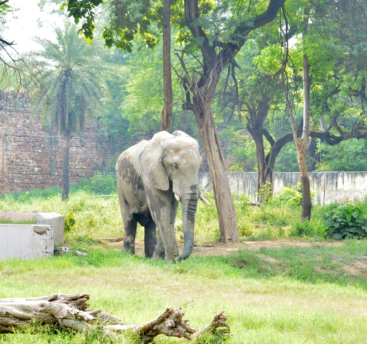 National Zoological Park of Delhi (New Delhi) - All You Need to Know BEFORE  You Go