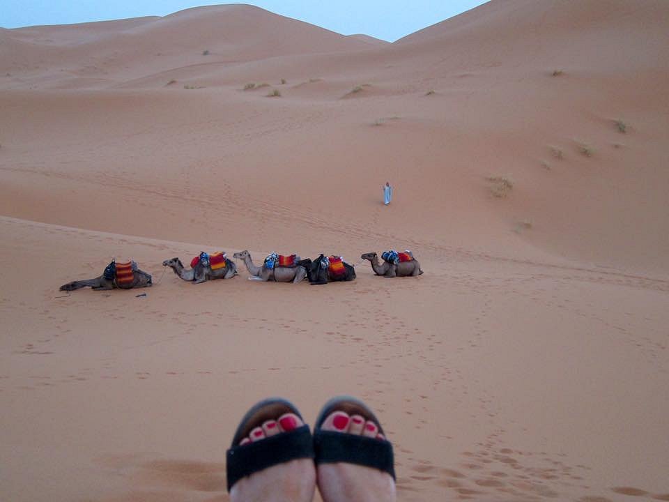 Deserto com areia movediça - Avaliações de viajantes - Wadi Araba Desert -  Tripadvisor