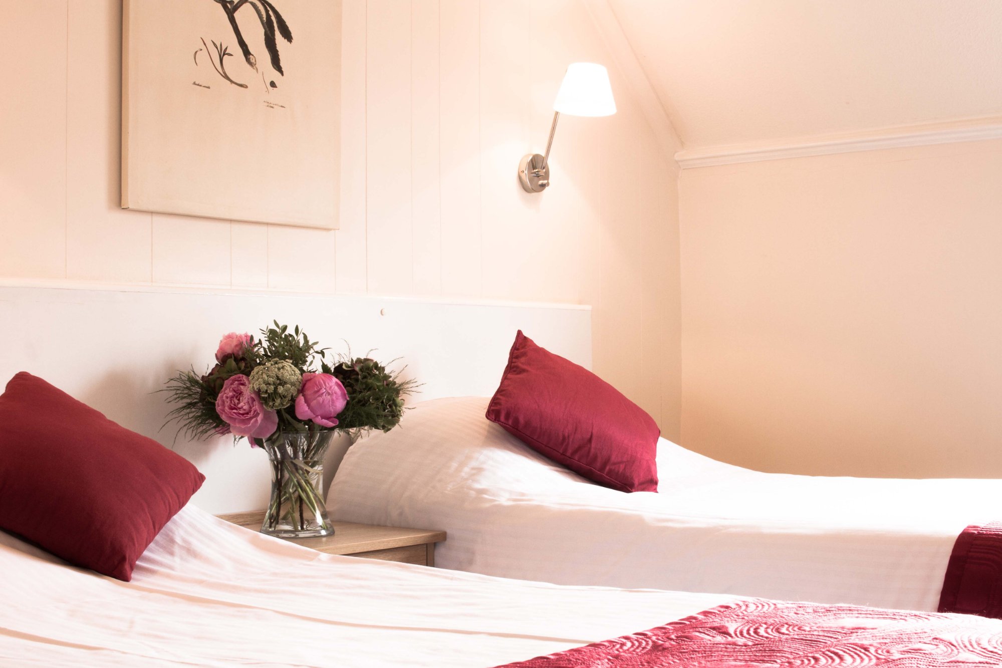 Hotel photo 27 of Winchelsea Lodge.