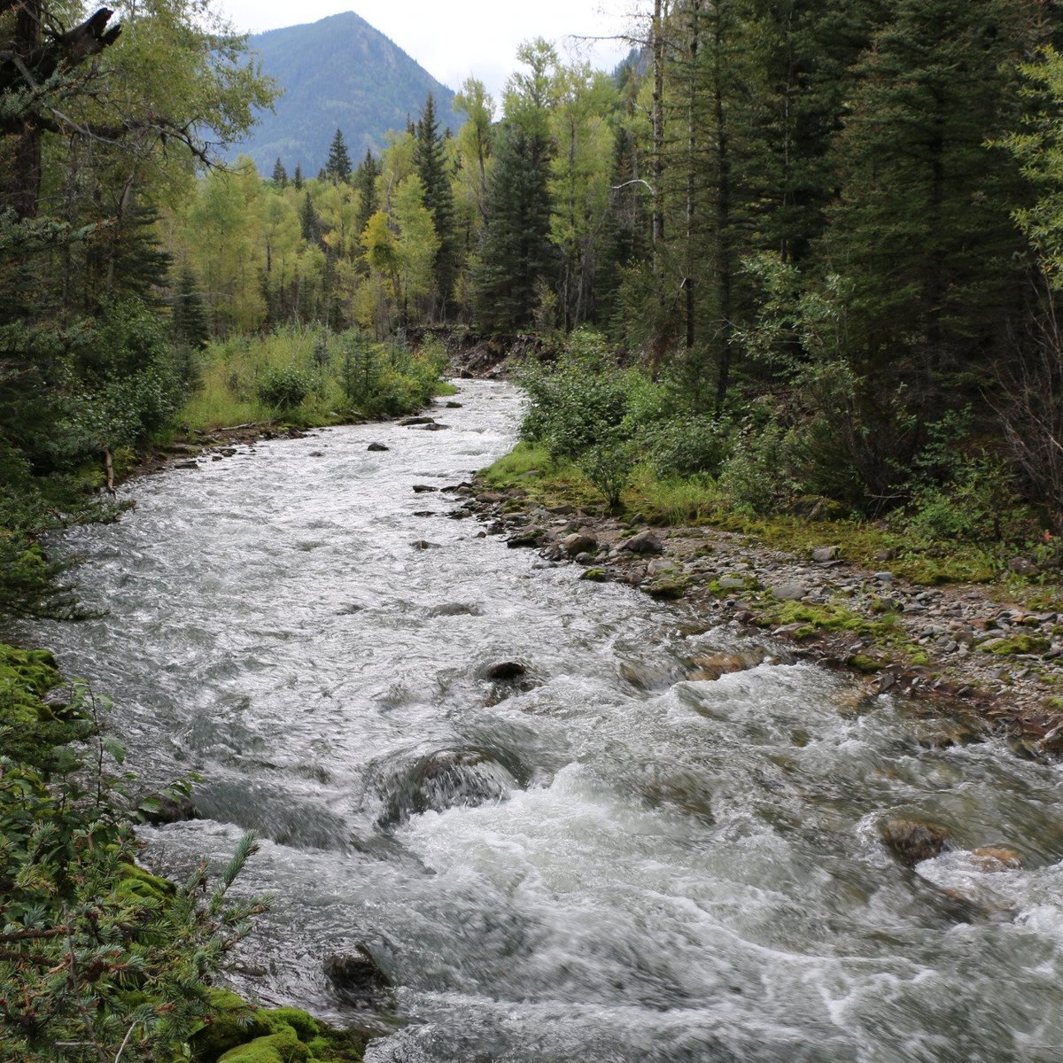 San Miguel River South Fork Preserve (Telluride) - All You Need to Know ...