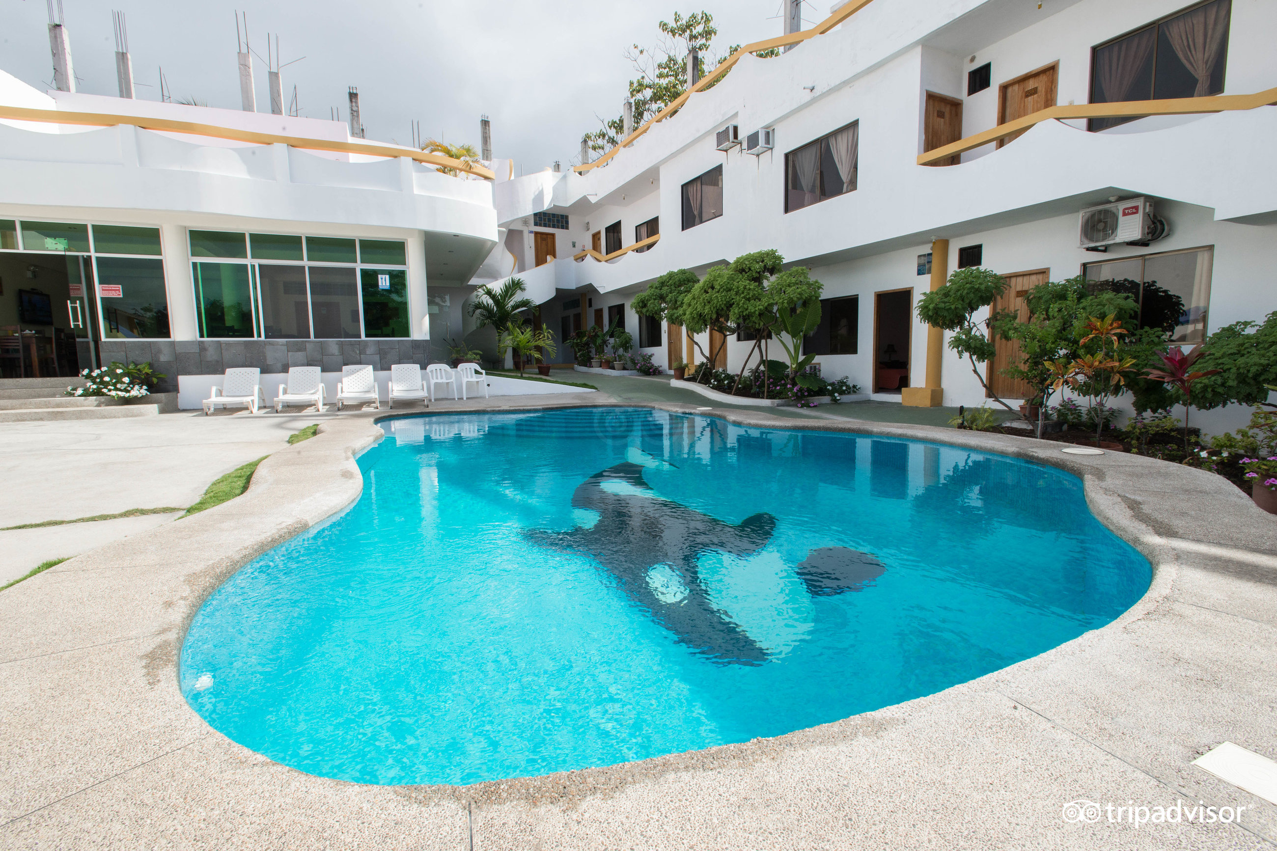 HOTEL PELICAN BAY Prices Reviews Galapagos Islands Santa Cruz