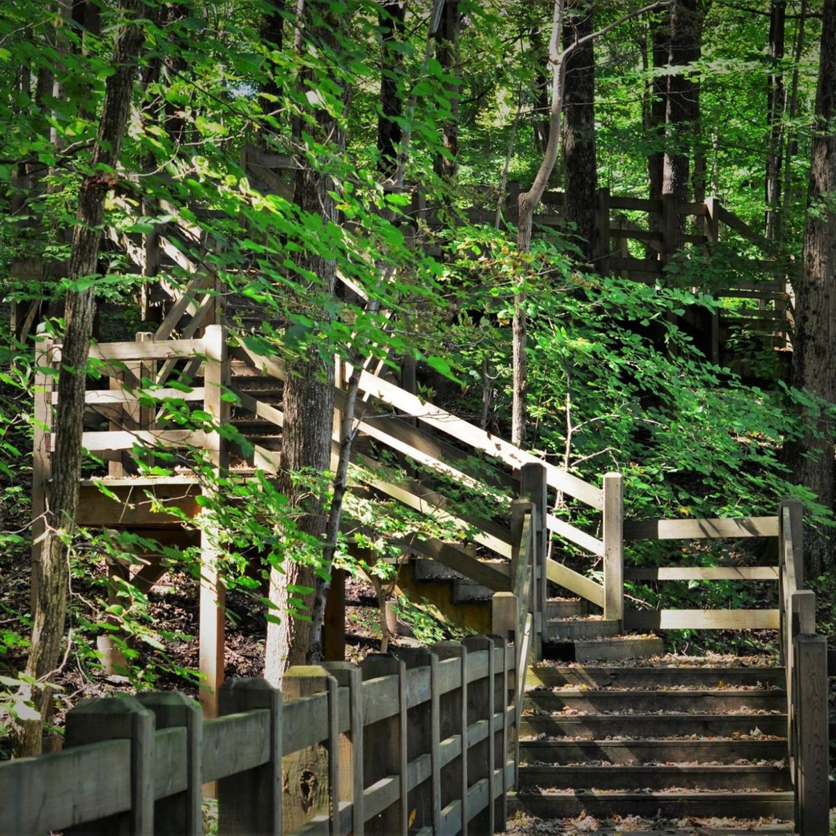 Collection 97+ Pictures fort harrison state park photos Full HD, 2k, 4k