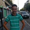 Falco_turk