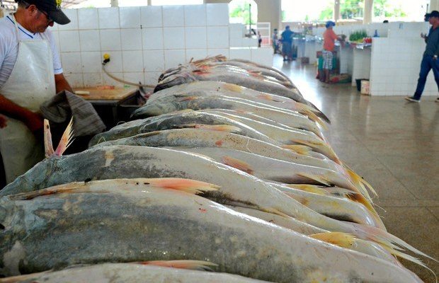 Peixe a vontade,você escolhe .