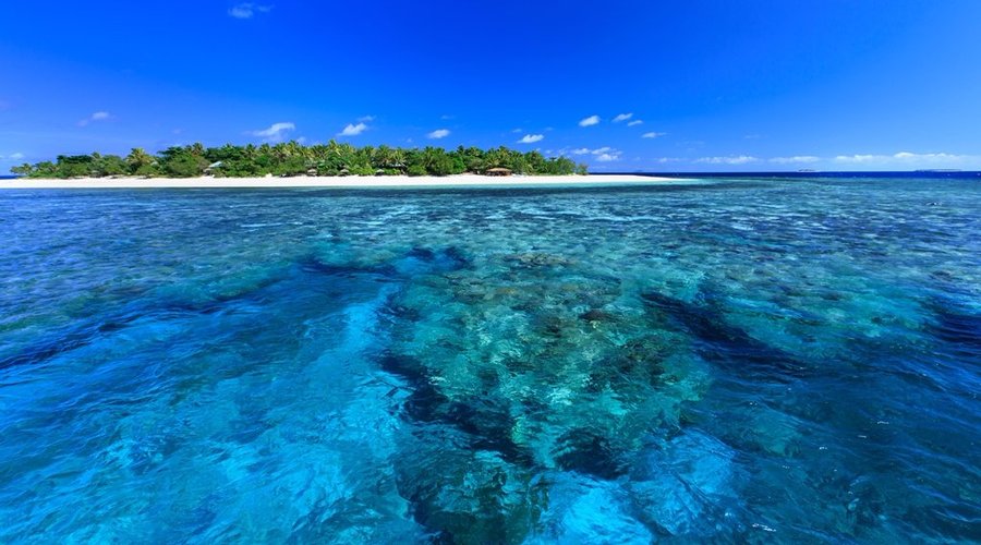 Navini Island Resort and surrounding reef sanctuary
