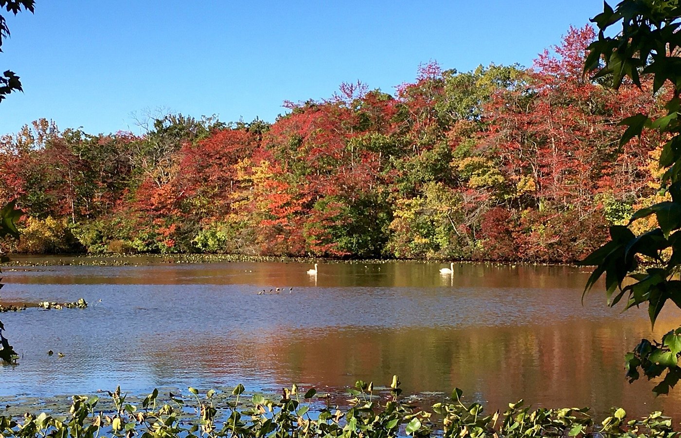 Bellmore Historical Society