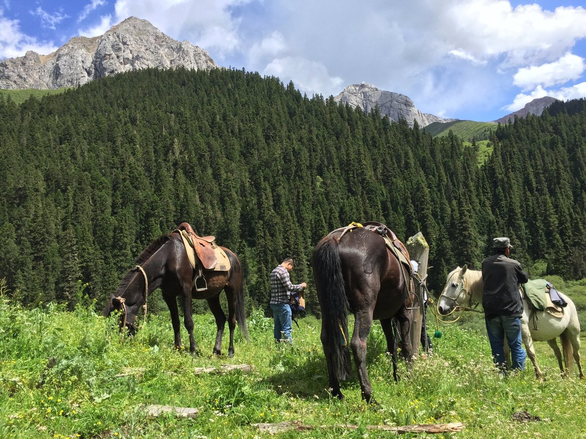 Tibetan Barley Horse Trekking Adventure - All You Need to Know BEFORE ...