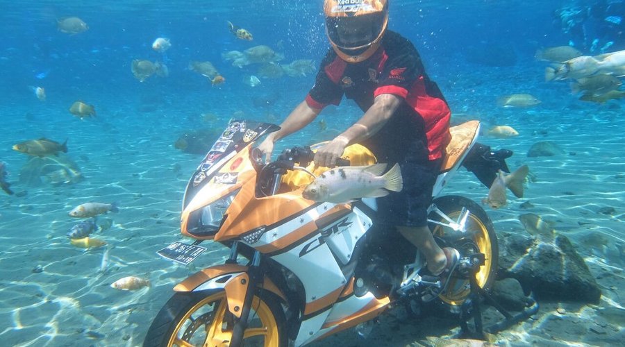 nyewa motor