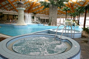 Hotel Hills Sarajevo Congress & Thermal Spa Resort in Sarajevo, image may contain: Resort, Hotel, Tub, Pool