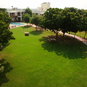 Delux Block Garden