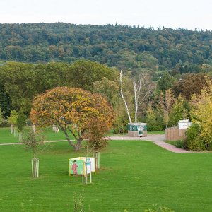 Deluxe und Junior Suiten
