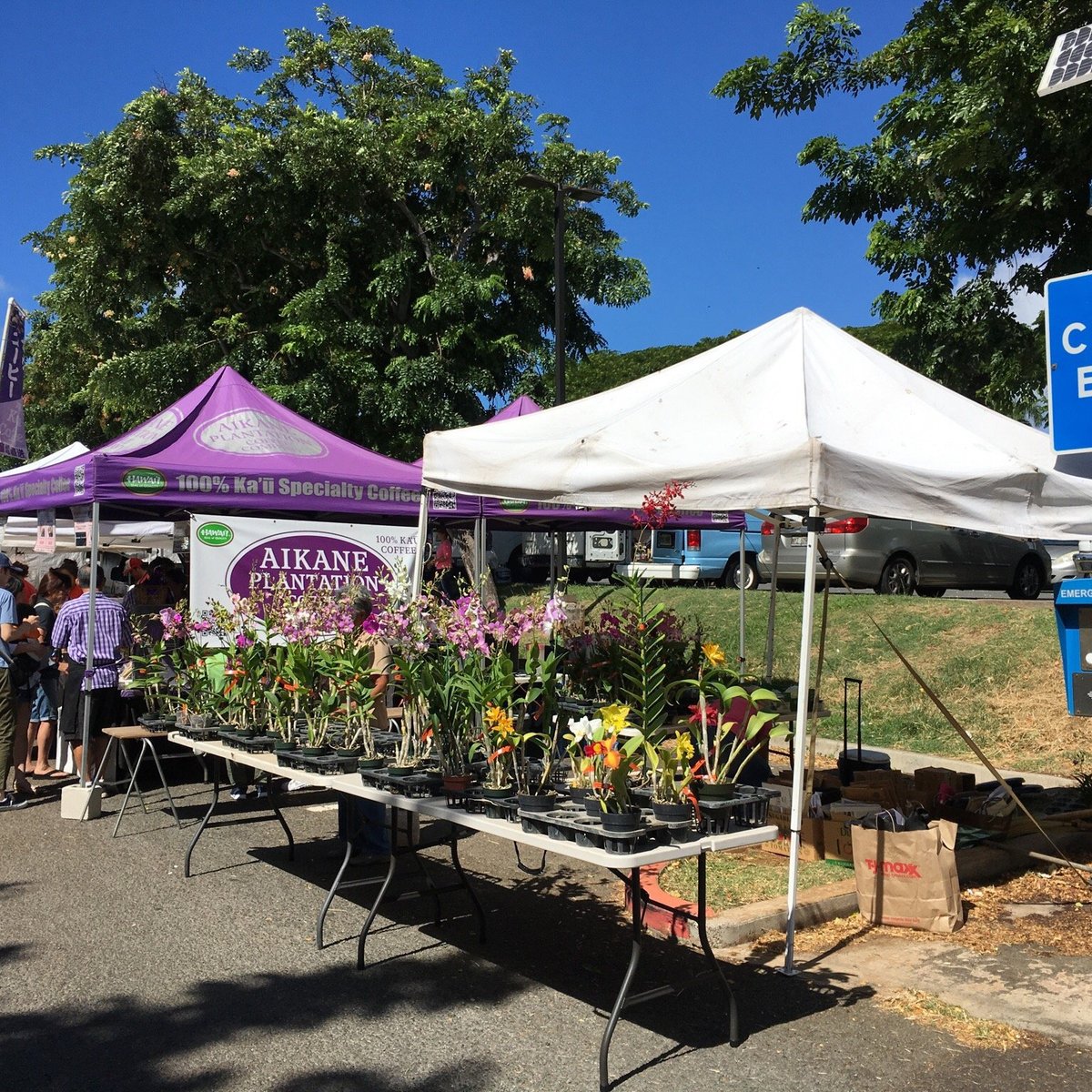 Morning Market at Kapi' Olani Community College - All You Need to Know ...