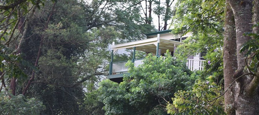 Copland House is situated high in the tree tops